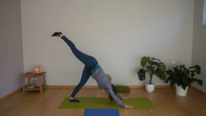 Cours enregistré Yoga Anti-Stress et Immunité - Daniela