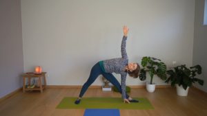 Cours enregistré Yoga Anti-Stress et Immunité - Daniela