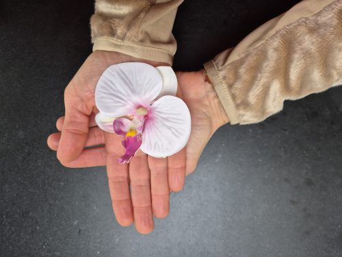 20250108_133032 20250108_133032